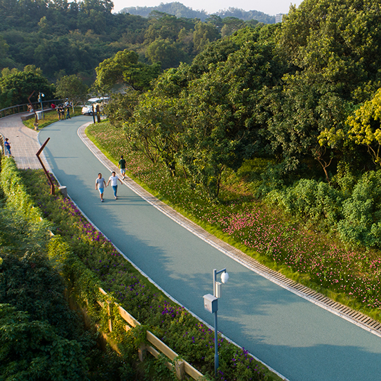 龍華新區環城綠道建設項目（大水坑段）—勘察、設計、施工項目總承包（EPC）